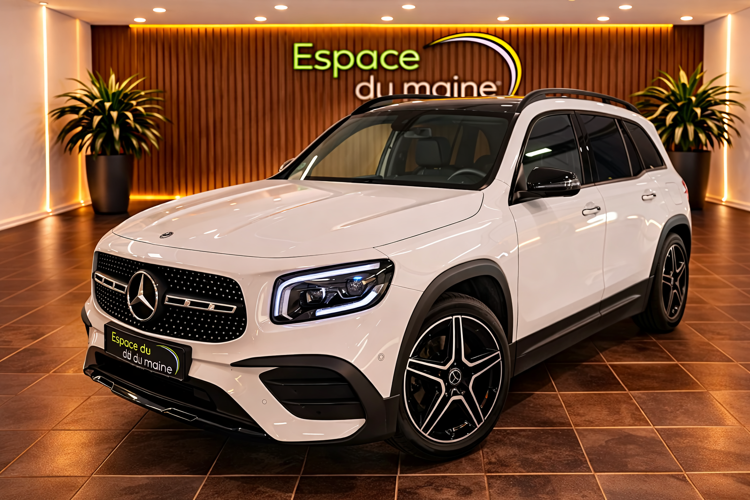 1ère main- Origine Française Révisé garantie 12 mois